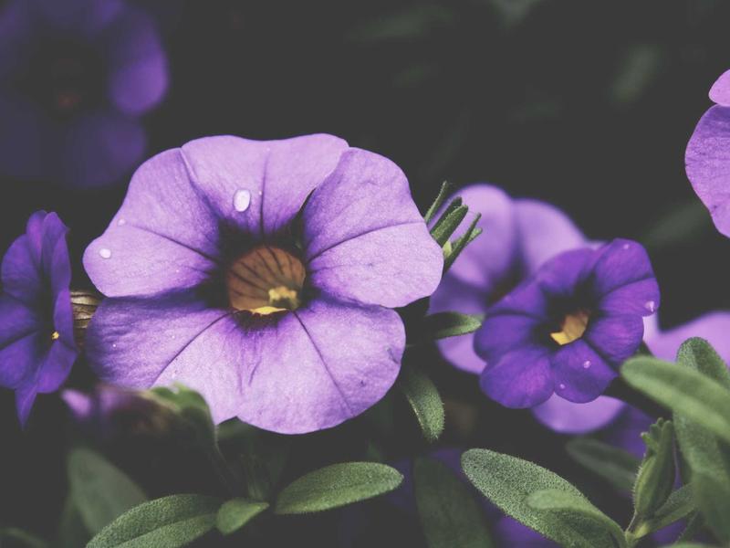 sudoku share puzzle screenshot 3