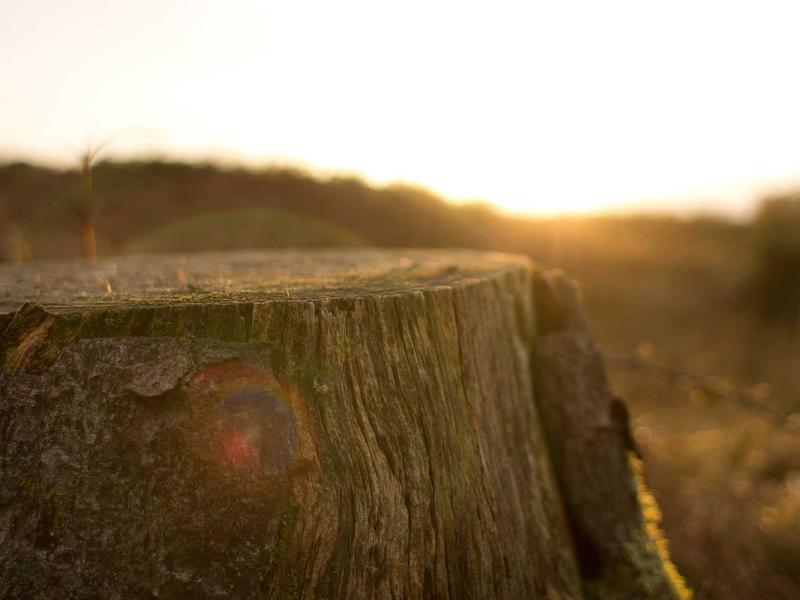 sudoku share puzzle screenshot 2