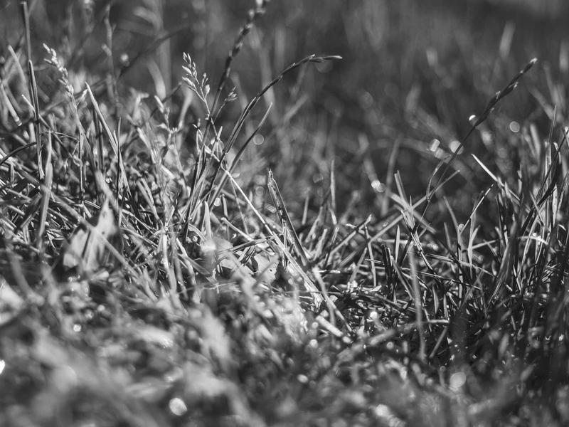 sudoku share puzzle screenshot 4